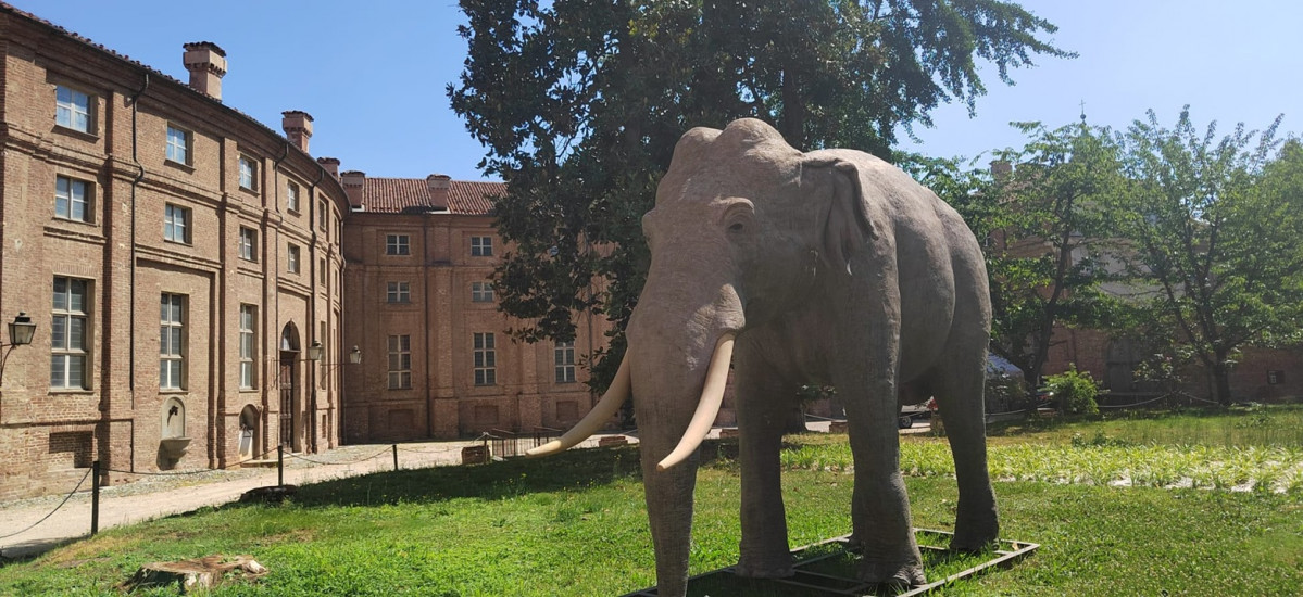 Estatua de Elefante en Stupinigi