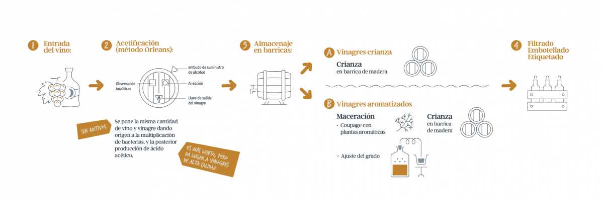 Infografia Vinagre e1712134427987 2048x679