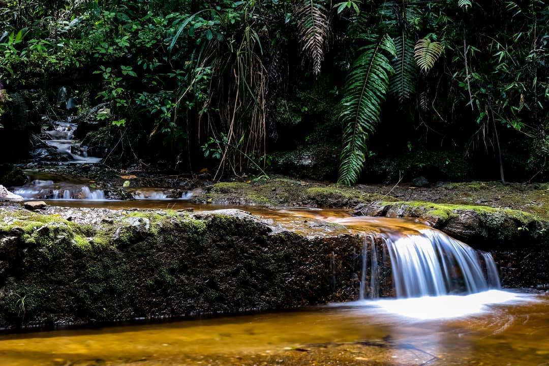 Biotopo del Quetzal en Baja Verapaz