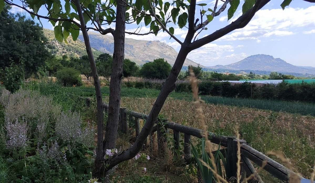 Huerta de Abril