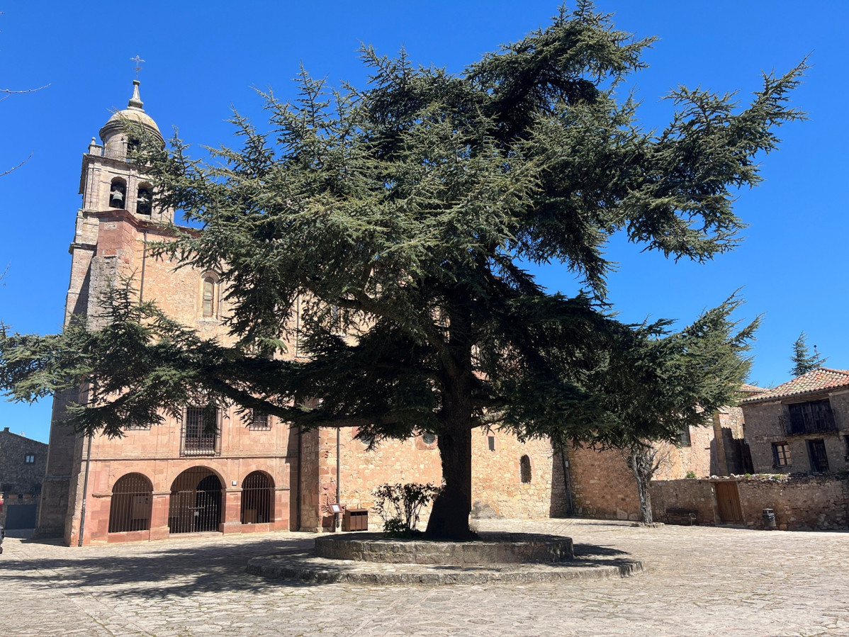 Medinacel, Colegiata de N.S. Asunciu00f3n