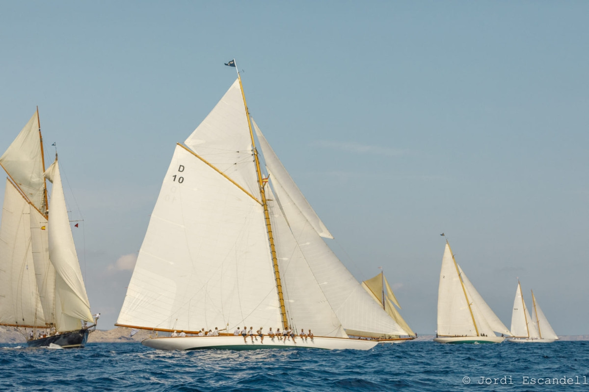 Lady anne