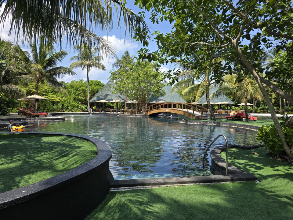 PISCINA EN PLENA SELVA