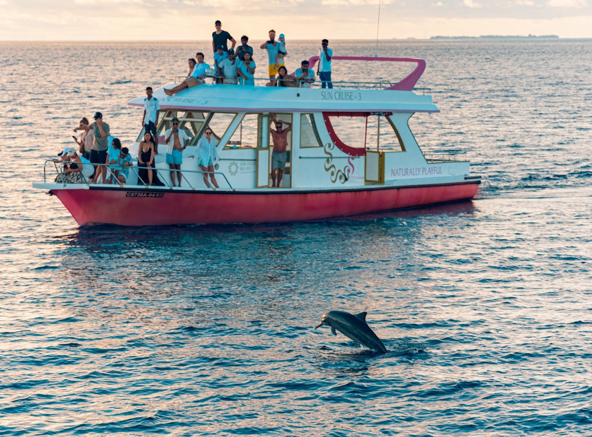 OBSERVando DELFINES