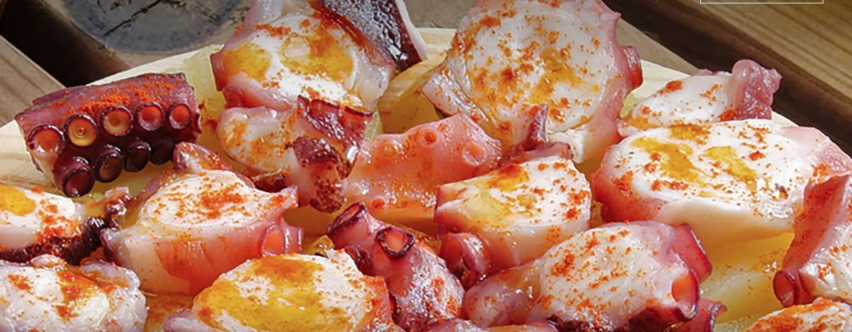 Tomar pulpo a feira, gazpacho y paella  7