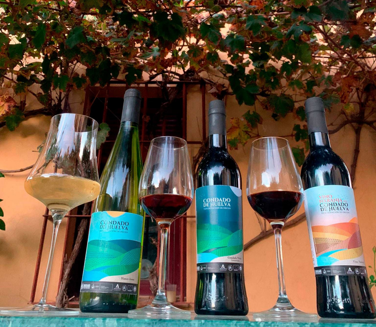 Botellas web