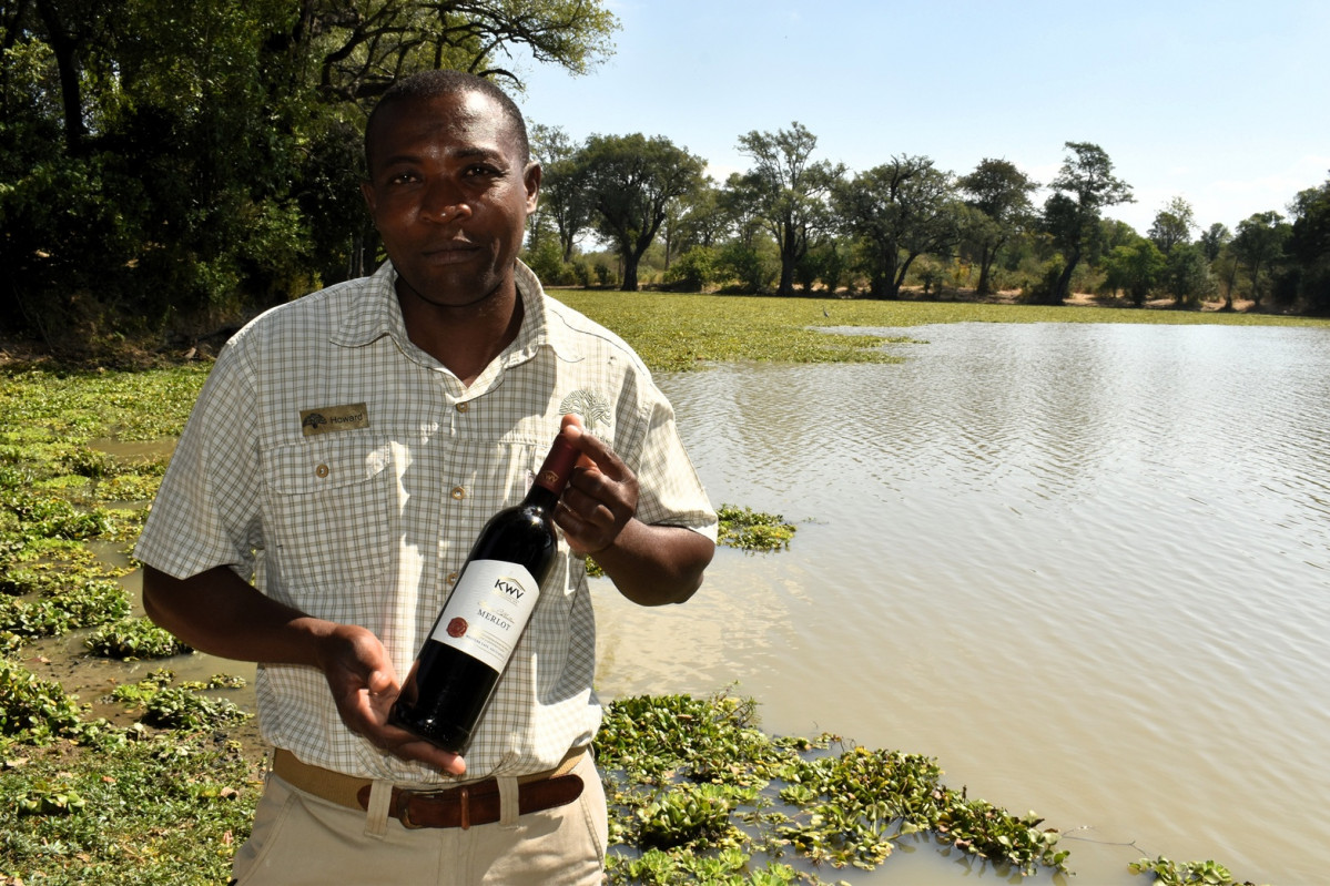 Buenos vinos sudafricanos