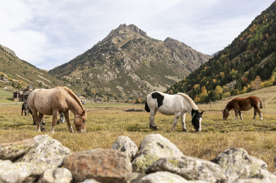 Andorra, VALL D INCLES 3