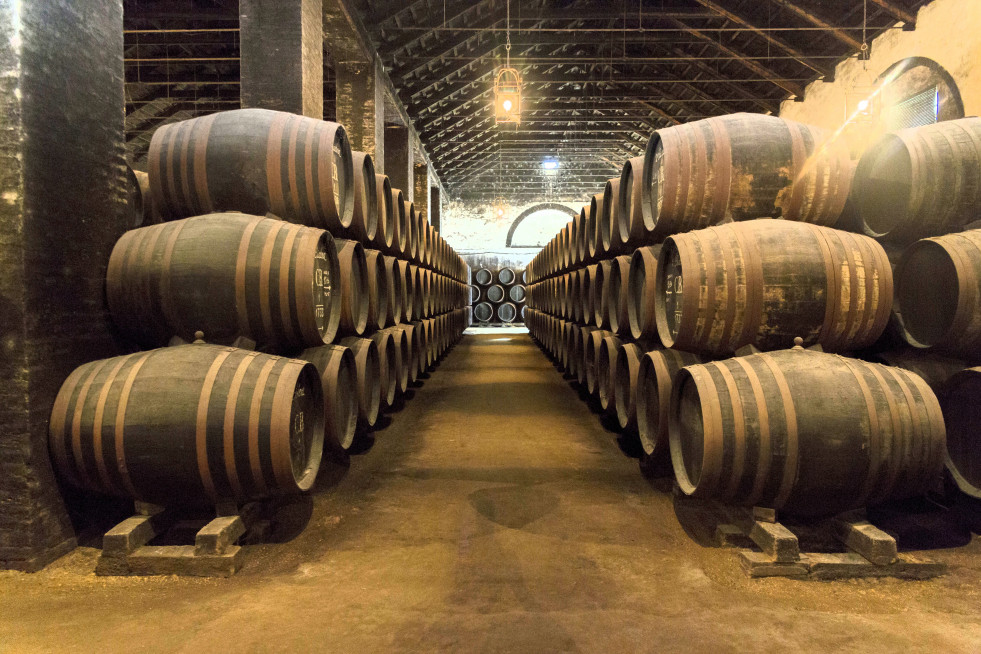 Bodegas 1