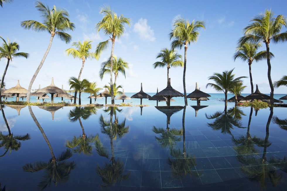 RoyalPalm