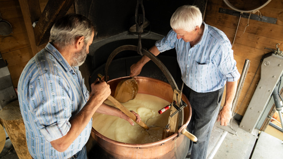 Producción de queso