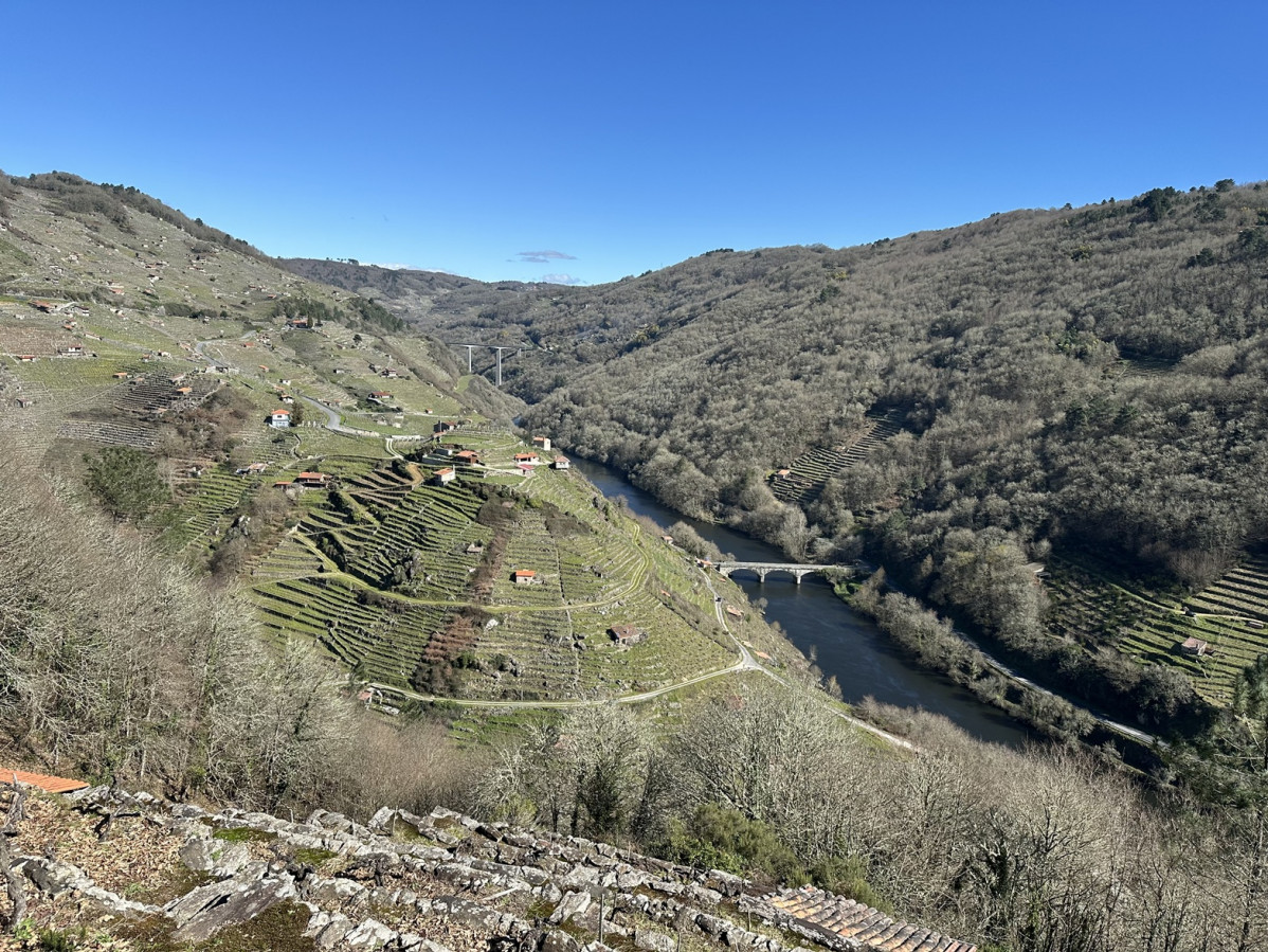 Chantada, (Belesar), Viñedos en la Orilla del Miño (Ribeira Sacra), AAS 032025
