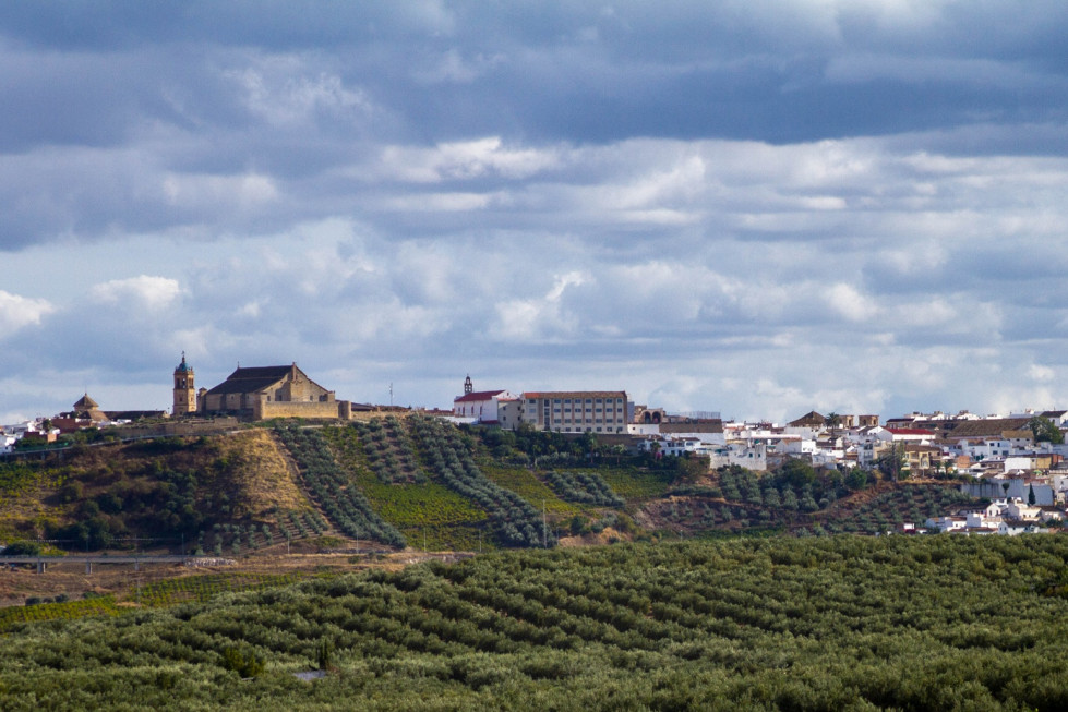 Montilla