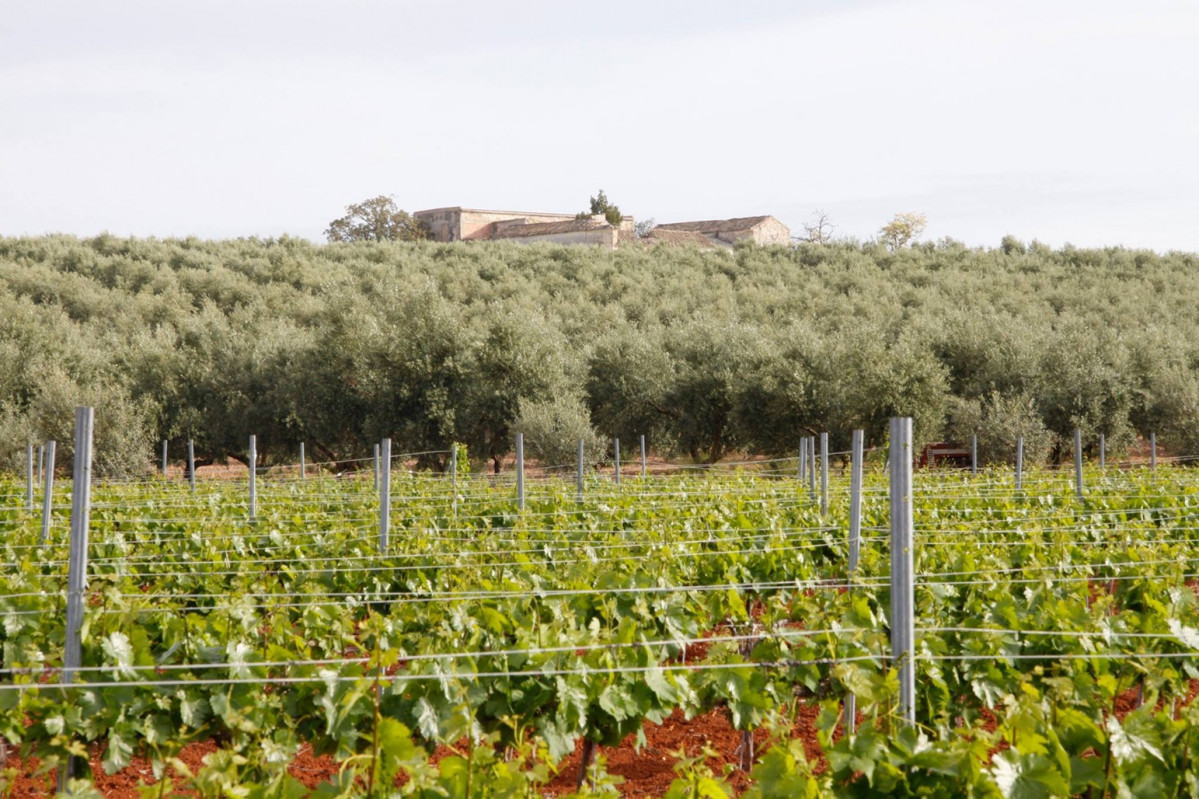La finca Hacienda Bolonia estu00e1 ubicada en la sierra de Montilla, su origen se remonta a 1794