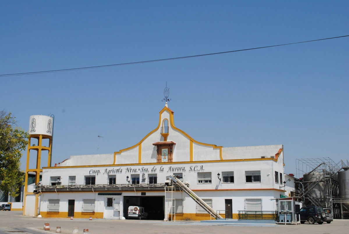 Cooperativa