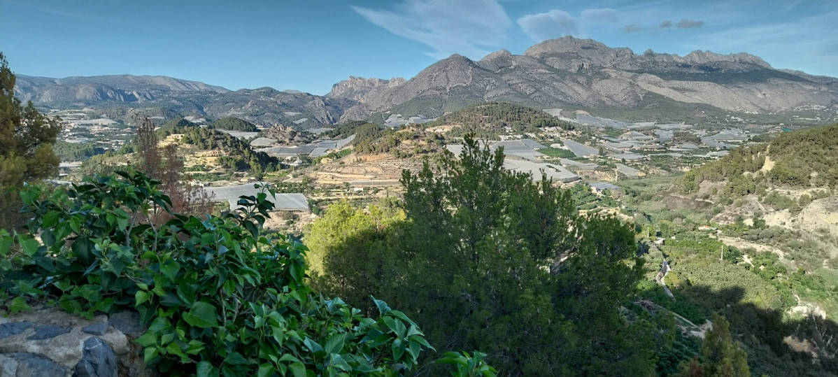 Campos de Polop con invernaderos de nu00edsperos