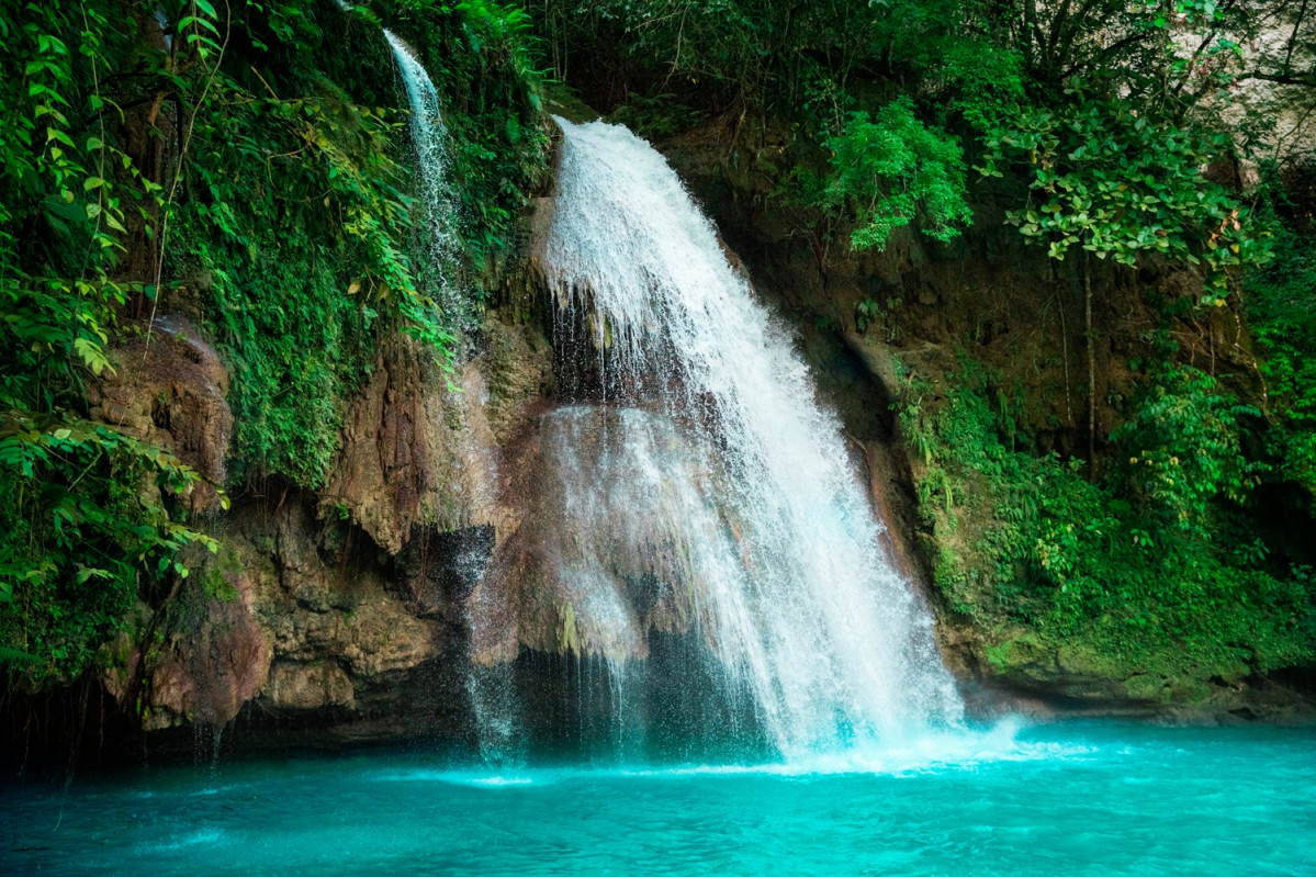 Shutterstock 1279096990