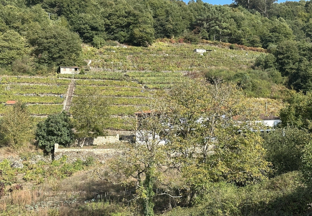 Ribeira Sacra, O Saviu00f1ao 171025 @AAS