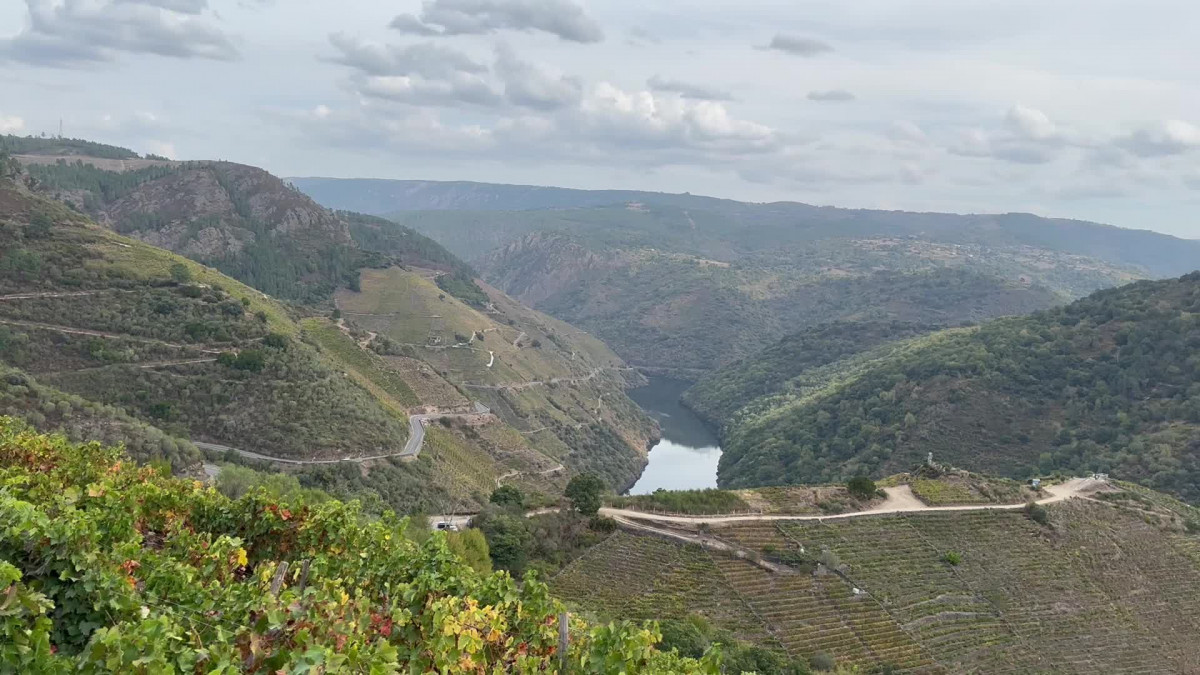 Visita en otoññ a la Ribeira Sacra (AAS)