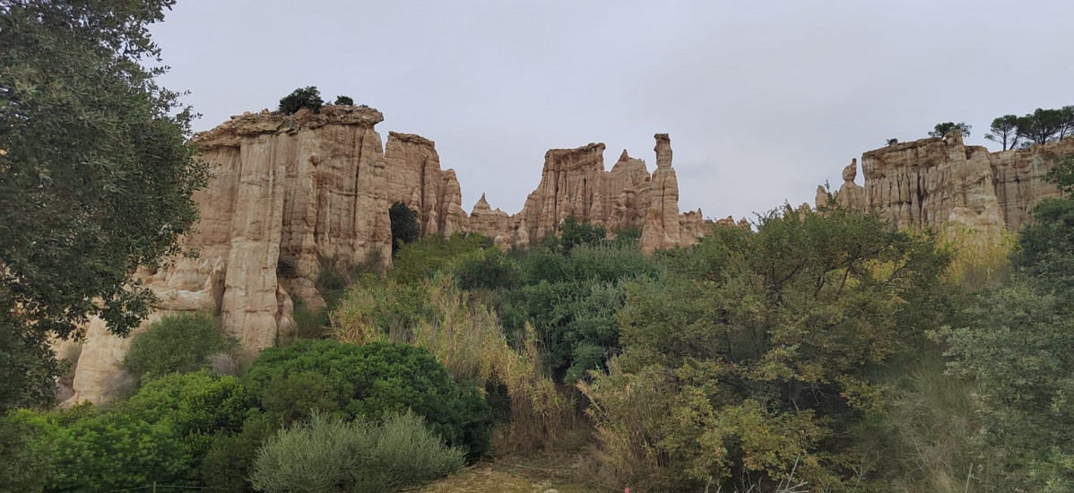 Les orgues de lu00b4Ille sur Tu00eat