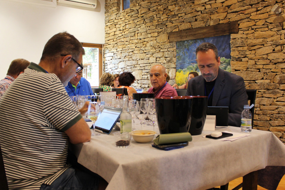 526232770 1070697245238725 5043066789118737623 n