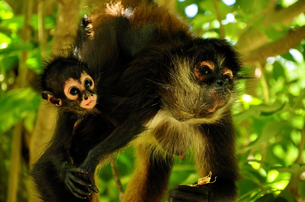 561385672 1510194240610138 6206206606444061341 n