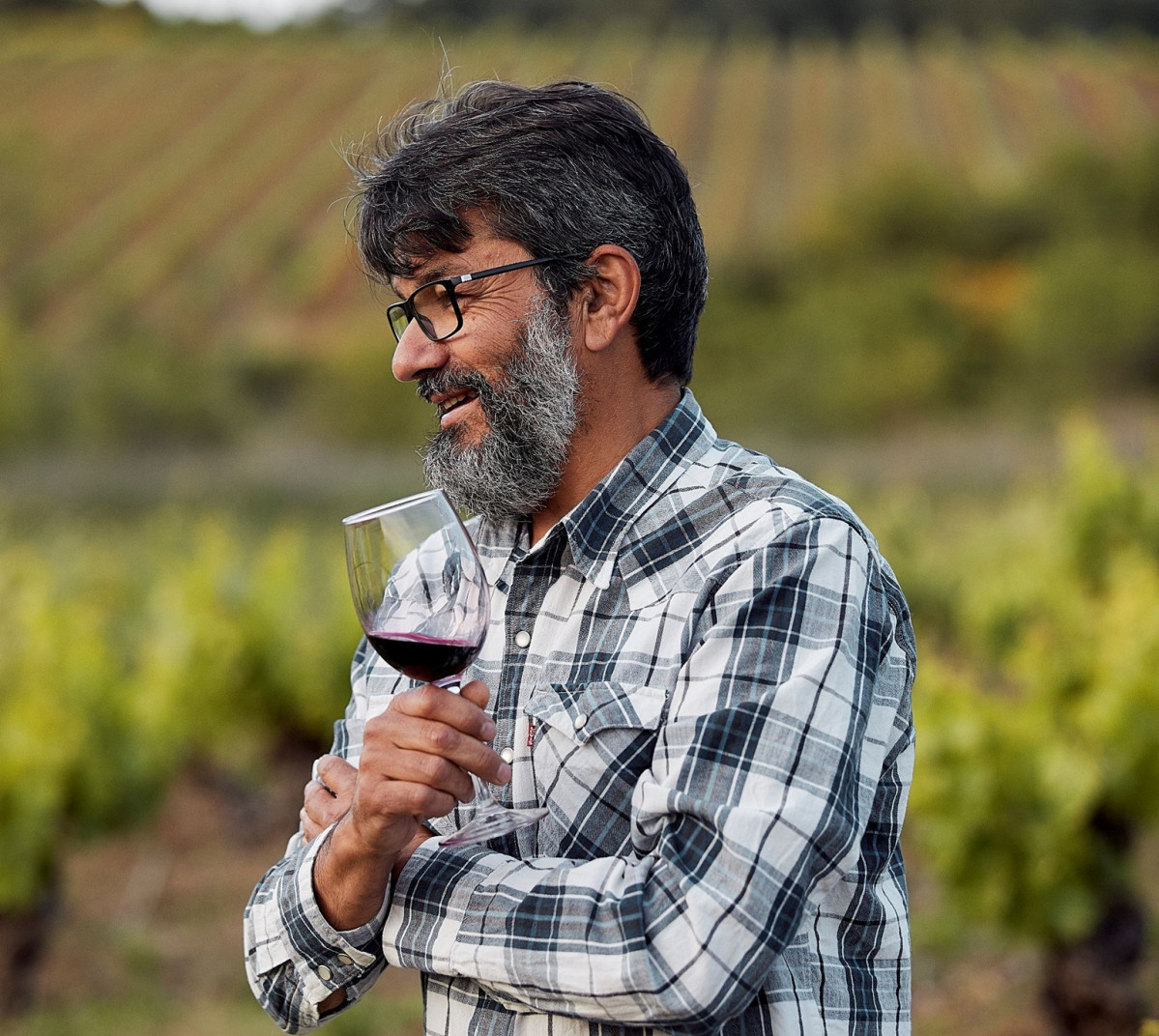 ALFREDO MARQUES BODEGAS PITTACUM