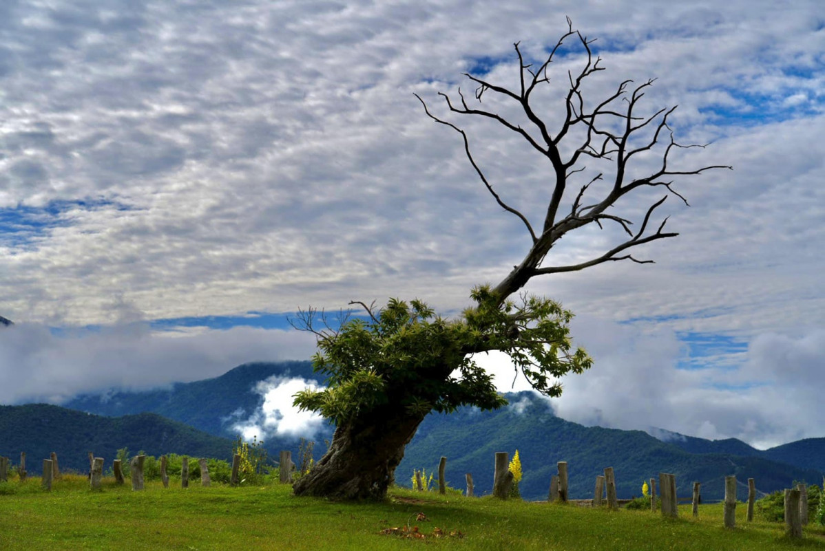 Liebana, un lugar por descubrir (1)