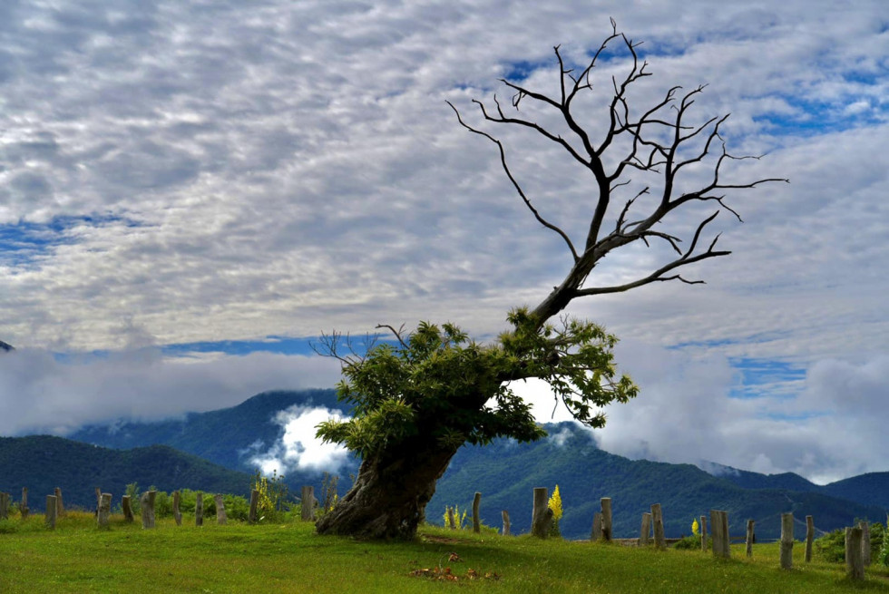 Liebana, un lugar por descubrir (1)