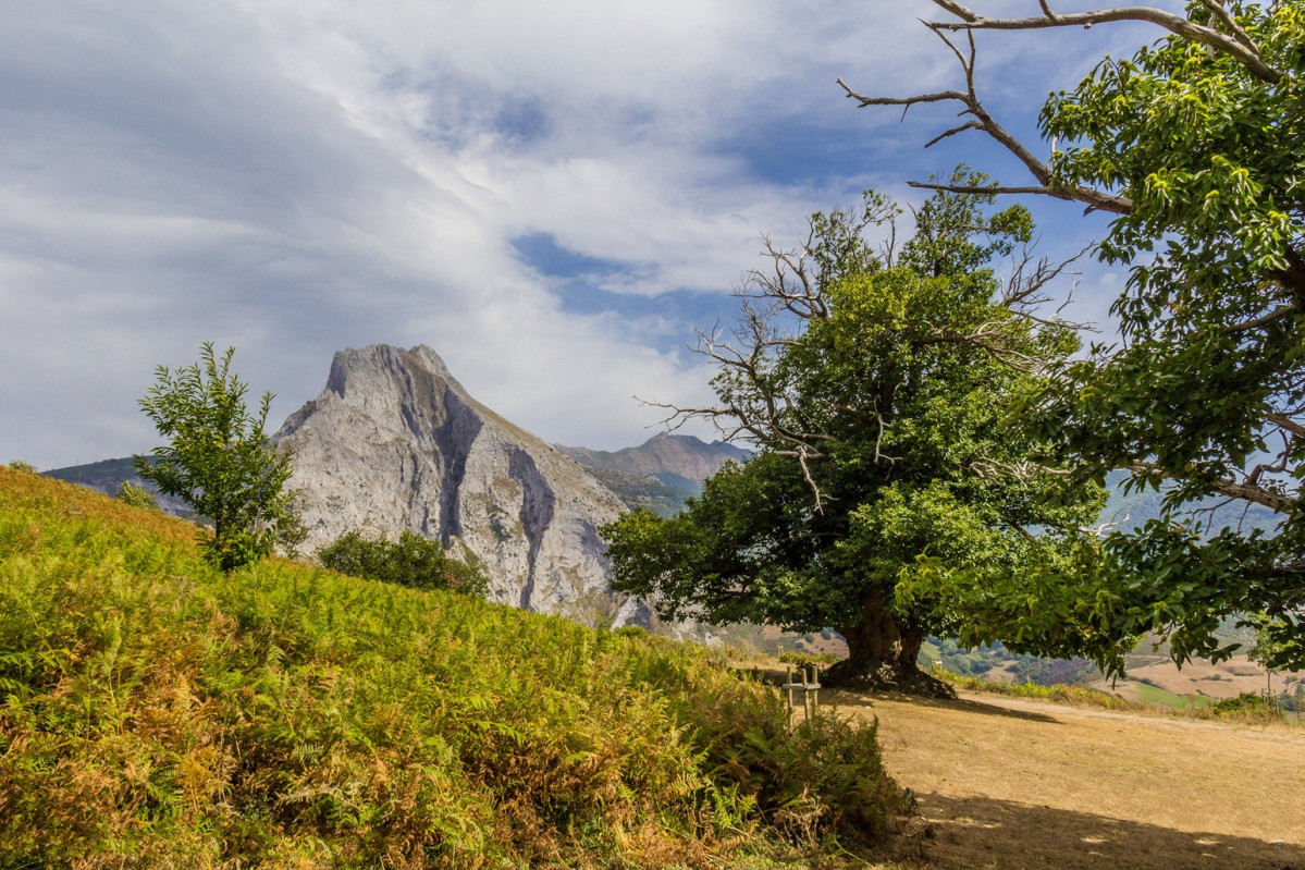 EL HABARIO (1 de 1) 2 Cillorigo de Liu00e9bana