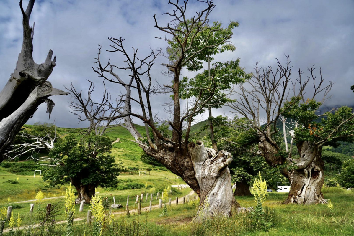Liebana, un lugar por descubrir (2)