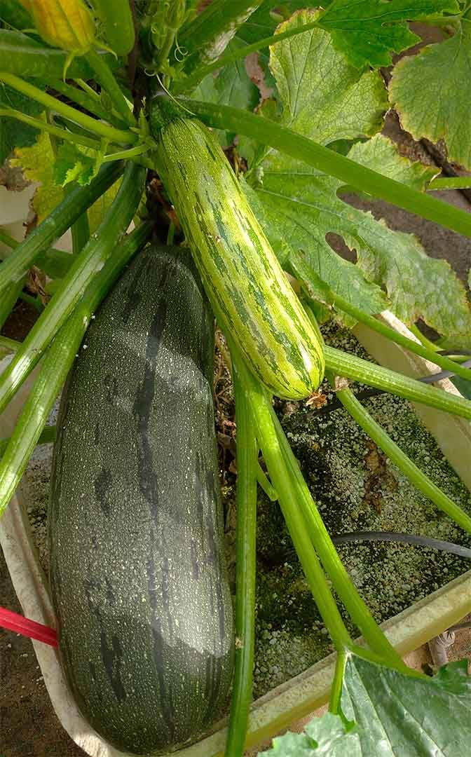 Web figura4 289089e5cc