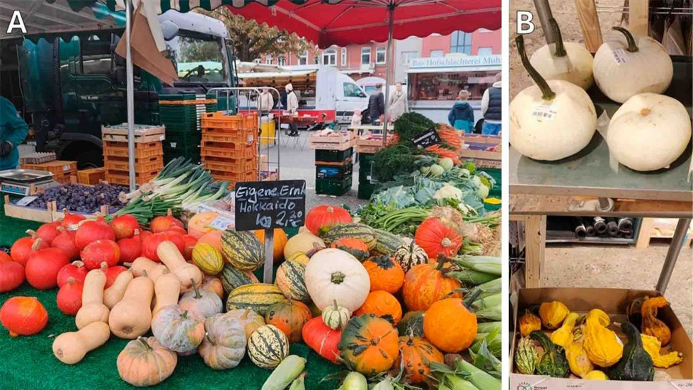 Web figura6 c84cd746a8