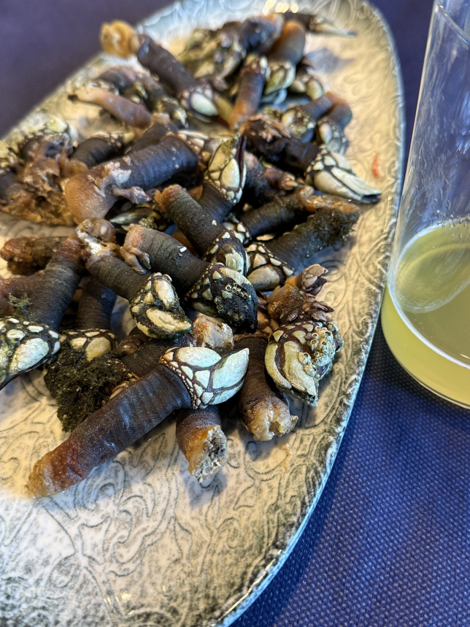 Percebes de los cantiles de Tazones