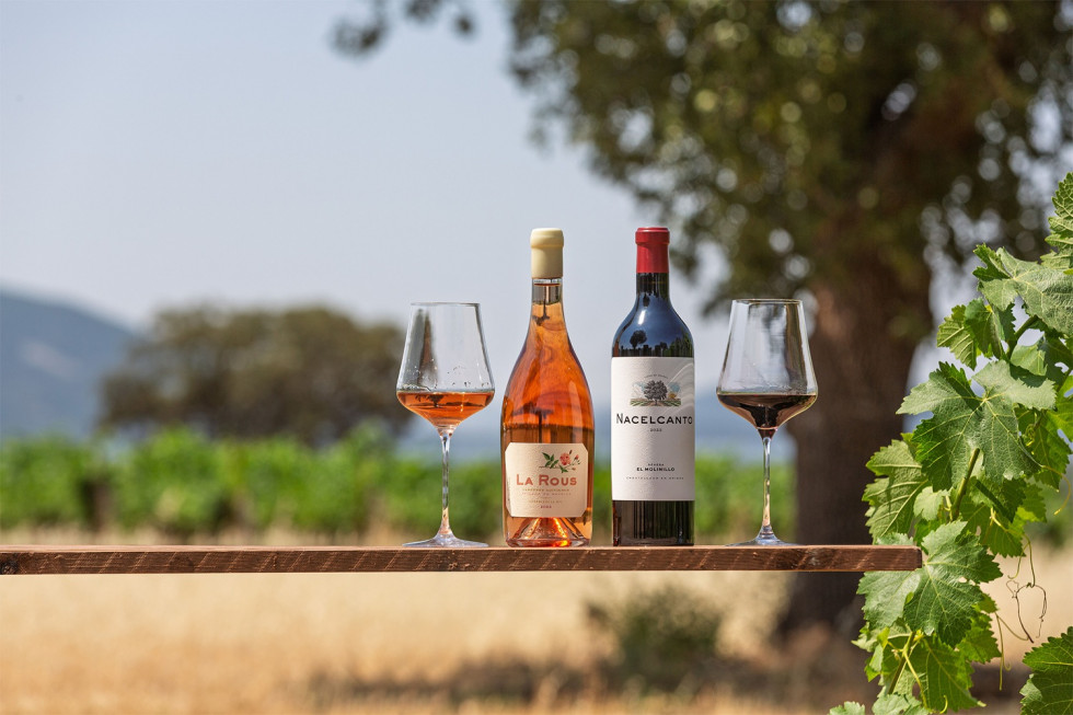 Bodegon La Rous 2023   Nacelcanto 2022