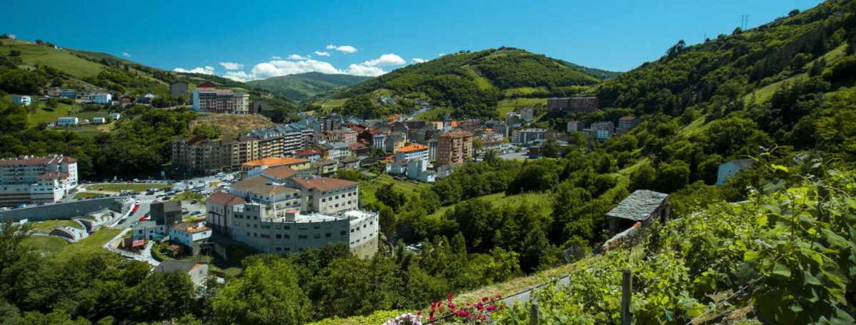 Viu00f1edo y vista panoru00e1mica de Cangas del Narcea Original