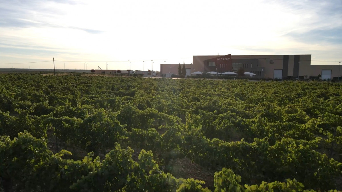 Diez Siglos   Viu00f1edo 06