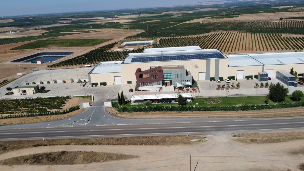 Grupo Diez Siglos   bodega