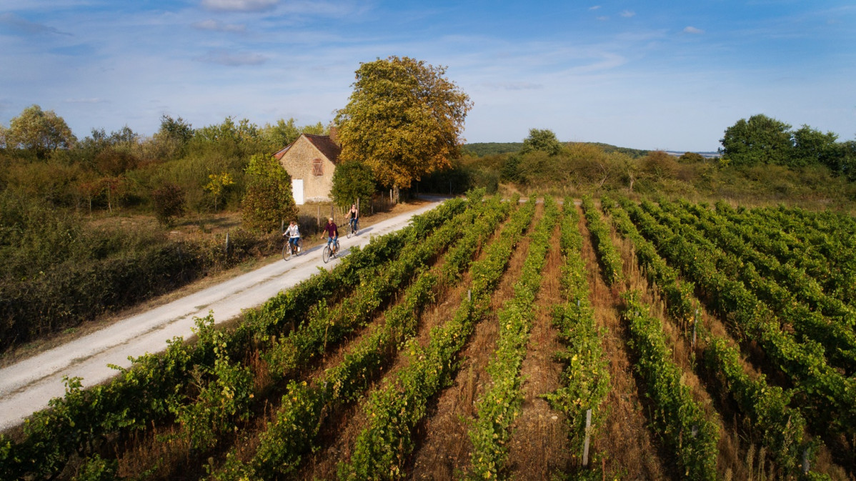 u00a9Pascal Beltrami   SartDev Jasnieres