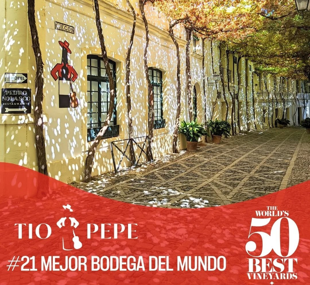 585061028 18543966295006077 6731347652520232105 n