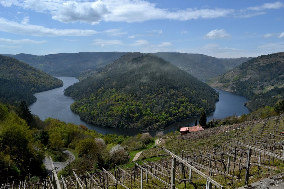 RibeiraSacracabodoMundo1201 1
