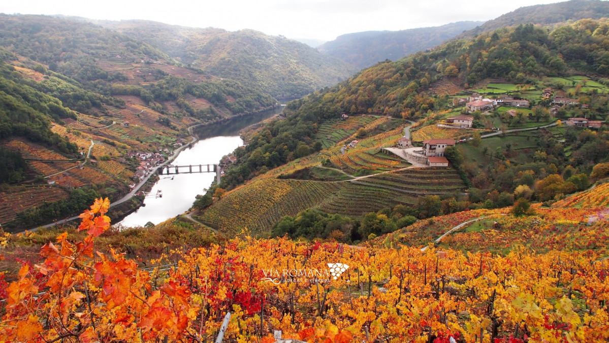 583335897 1375971184534889 7142454767922373864 n