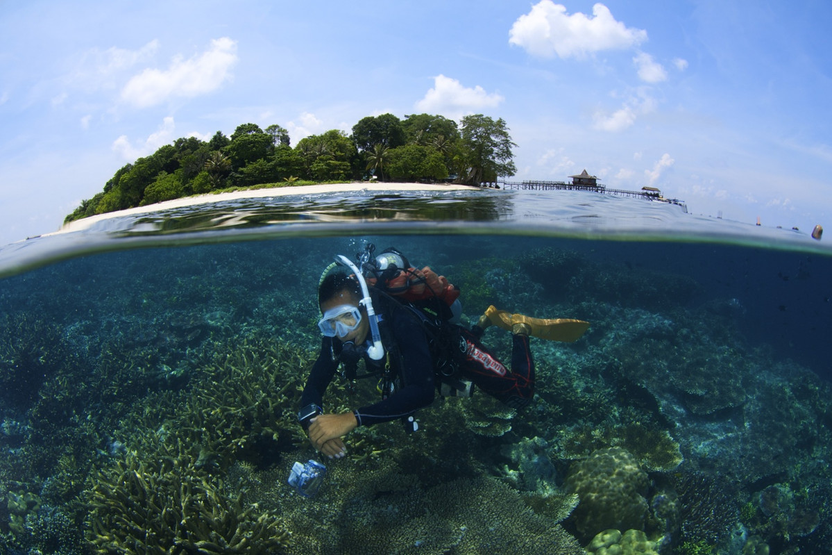 Sabah Tourism Borneo Divers