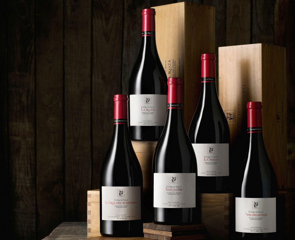 Foto Dominio de Atauta   Single Vineyards