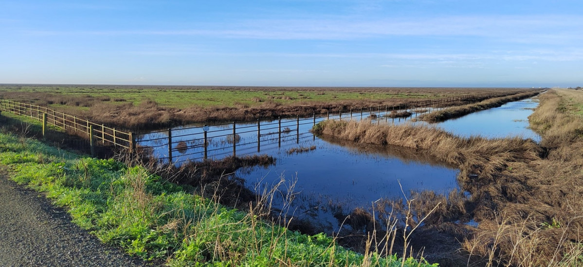 Dou00f1ana en la provincia de Sevilla