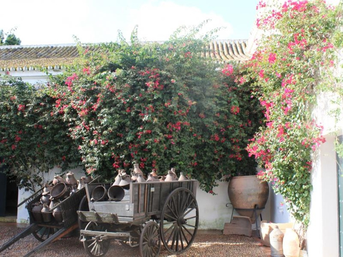 La Rinconada.Hacienda Guzmu00e1n.Patio