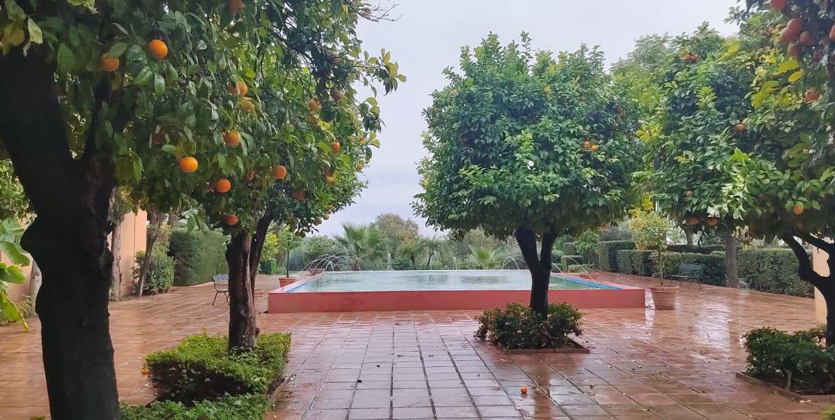 Jardines Hacienda Benazuza