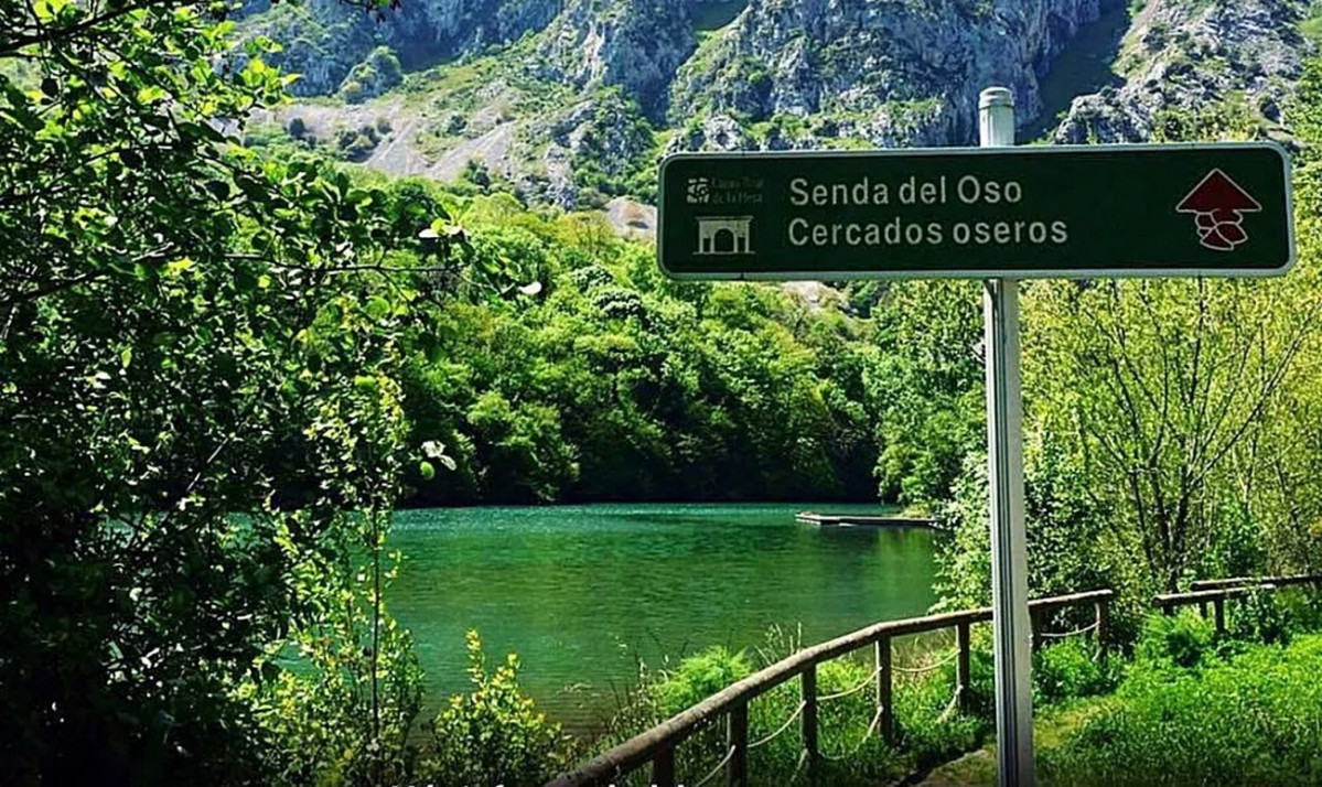 Senda del Oso (Asturias)