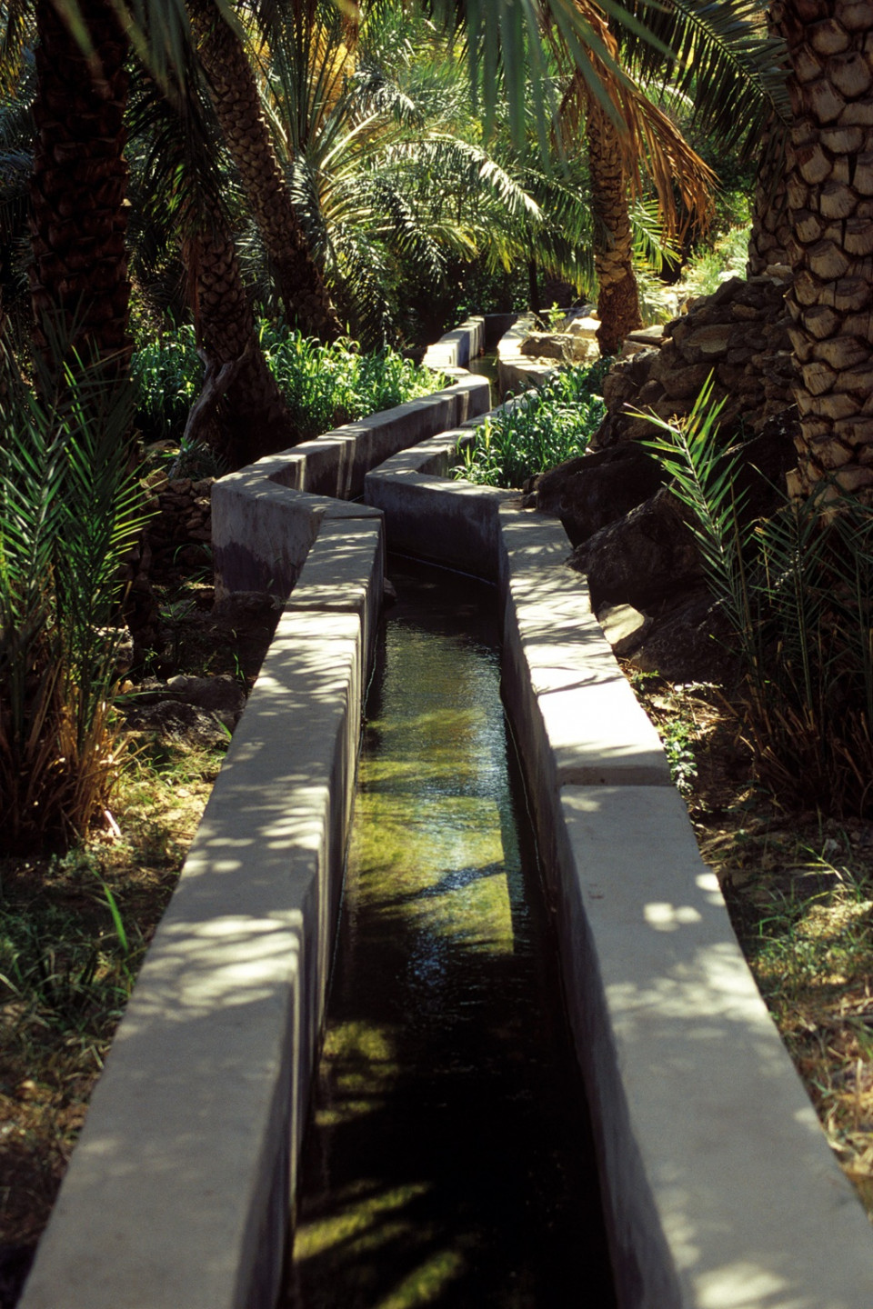 UNESCO world heritage site   Aflaj Irrigation System Canal in Oman