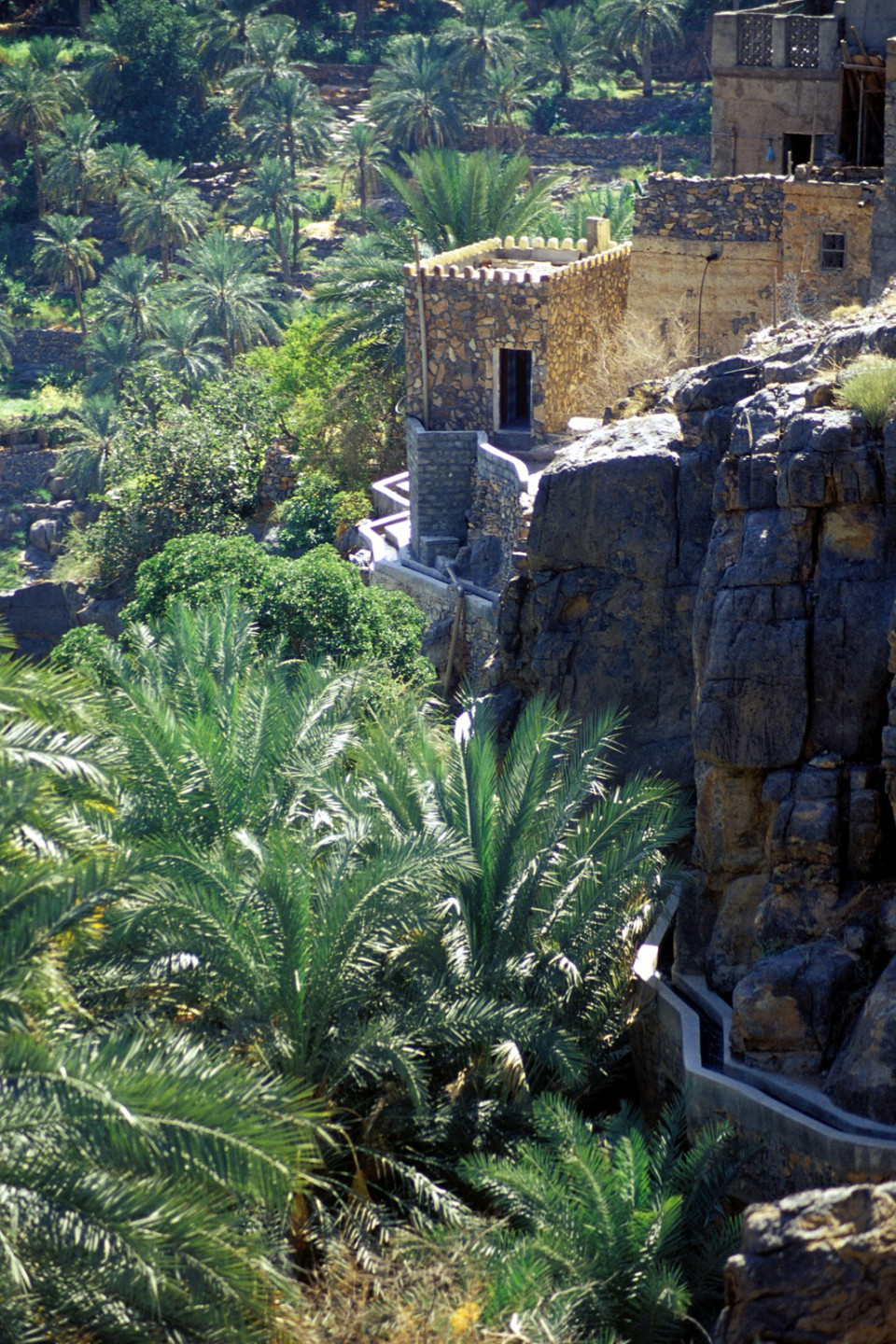 UNESCO World heritage site   Irrigation canal by the palm trees, Oman (1)